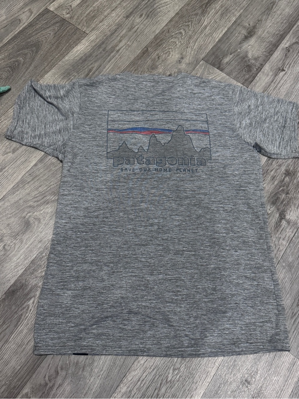 Patagonia shirt
